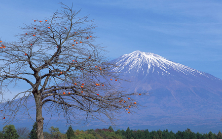 ♥❀ღ perfect cone mountain ღ❀♥ - snow, wp, nature, mountain