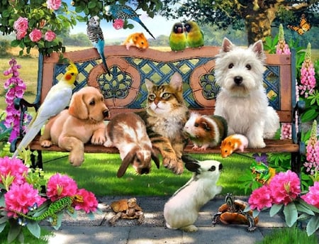 Pets in the park. - cat, frog, pet, bird, butterfly, rabbit, dog, tortoise, lizard