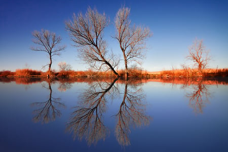 red and blue - trees, water, beautiful, photography, nature, plants, nice, sky, waterscape