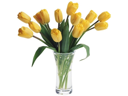 Lovely yellow tulips - vase, beautiful flowers, sunny, water, yellow, beauty, yellow tulips, bouquet, sweet, leaves, flowers, tulips, tender