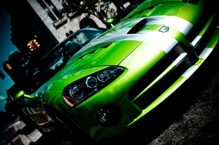 Dodge Viper - dodge viper, car, sport car, viper, dodge, speed