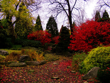 lovely_game_of_colors - garden, trees, nature, colors, autumn