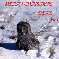 FOR MY DEAR FRIEND JERRY