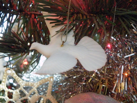 â™¥ Turtle Dove â™¥ - joy, beautiful, ornament, forever, christmas, faith, white, present, peace, light, fashion, precios, love, treasured, turtle dove, decoration, gift, hope, entertainment