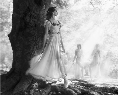 A MIDSUMMER NIGHT'S DREAM - soft, photography, bw, beauty, ballet