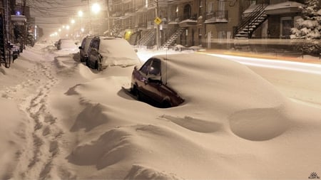 Winter Night - snow, street, night, winter