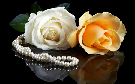 The Love between Roses - love, roses, photography, rose, lovely, white, nature, yellow, pretty, beautiful, photo