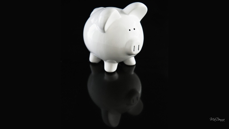 Save Your Pennies - occupy, wall street, pig, black and white, piggy bank, simple, money, reflection, wise