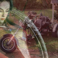 Beauty and The Outlaw