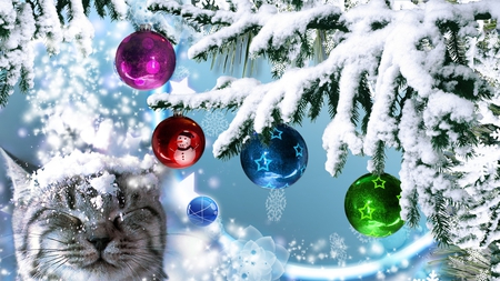 Snowy Feline - cat, kitty, feline, kitten, christmas, bright, feliz naviad, decorations, snow, color, snowing, tree, feliz navidad, firefox persona