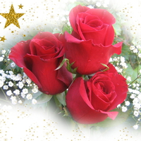 Christmas Roses for My Dn Friends