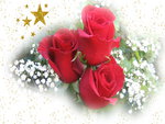 Christmas Roses for My Dn Friends