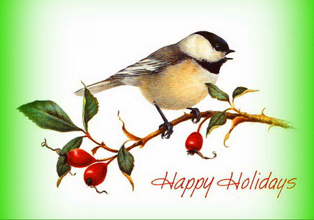 A simple greeting - happy holidays, branch, berries, christmas, chickadee