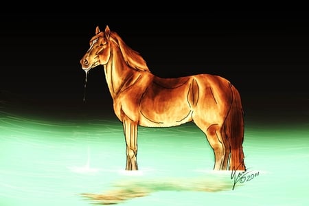 Horse In Water - water, horses, animals, brown horse