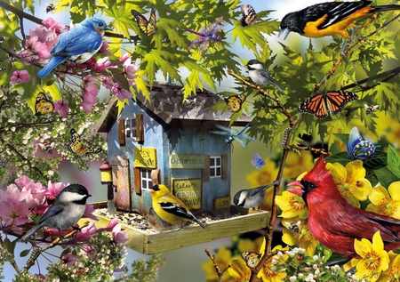 Time for lunch. - flower, animals, bird, spring, birdhouse, tree branches, lunch, butterflies, butterfly, leaf, house, birds, colorful