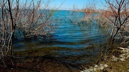 Laps of Water - sky, lake, water, land, brush