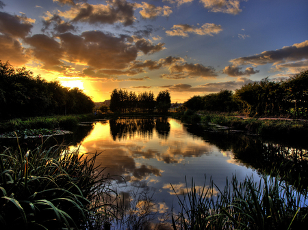 Morning reflection - clouds, vegetation, water, image, amazing, landscape, beauty, sunrise, gold, morning, reflection, nature, view, lakes, sun, sky