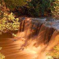 Waterfall of gold