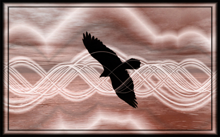 áƒ¦ â€â¤flying_in_a_dreamâ¤â€áƒ¦ - flying, dream, eagle, shadow