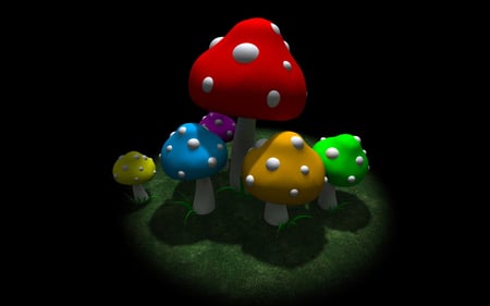 mushroom - mushroom, color, black, widescreen