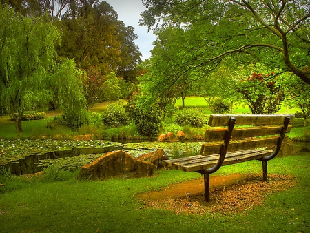 A bench in the park - lonely, trees, garden, green, bench, monet, park