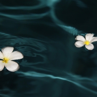 Flowers in water