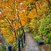 Autumn-HDR