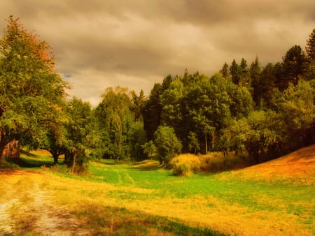 Colorful nature - anture, landscape, forest, tree, sky