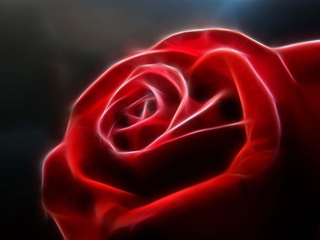 Laser rose - red, flower, rose, abstract