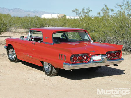 Cool to be Square - 1960, thunderbird, ford, red