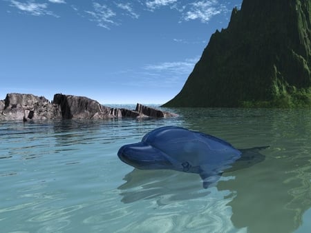 dolphin in the water - stone, water, view, dopine, snow