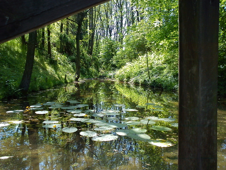 small, peaceful river. - brushwood, river, mill, peaceful, milano