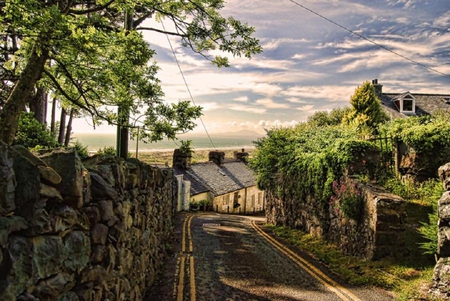 A Country Lane. - house, path, lane, road, tree, sky, wall