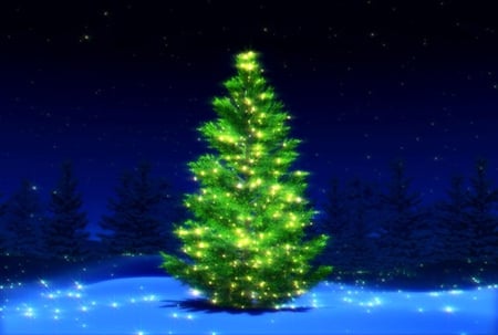 CHRISTMAS TREE - christmas, green, lights, snow, night, forest, tree