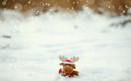 Reindeer - photography, snowflakes, reindeer, snow