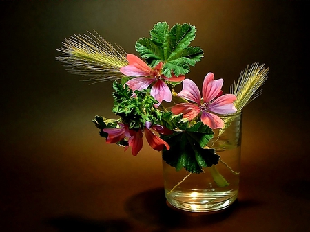 Still Life - glas, flowers, still life, photo