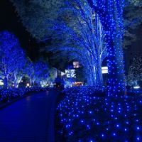 Blue Christmas in Japan