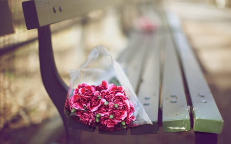 Bouquet On A Bench - nature, photography, beautiful, bench, flowers, bouquet, pink flowers