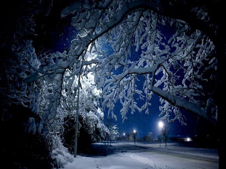 Winter evening - moon, branch, winter, bright, evening, snow, night