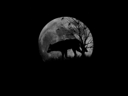 Wolf Silhouette