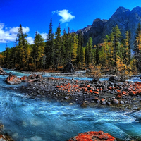 Fresh Water Stream