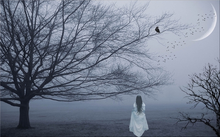 morning mist - pretty, moon, bird, fog, girl, errie, forest, fantsy, mist, woman, creepy, woods