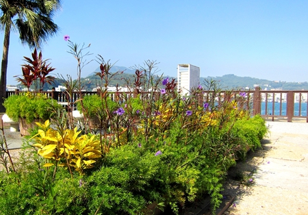 Seaside Park - flowers, sea, seaside, park