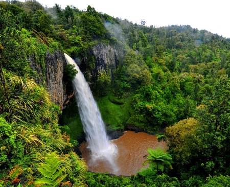 Bridal Veil Waterfalls - trees, new zealand, beautiful, green, waterfalls, bridal veil