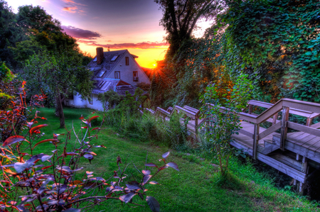 Cottage in the Sun - house, trees, stairs, shrubs, meadow