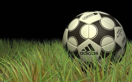 Adidas - round, green, ball, grass