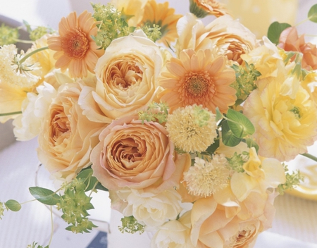 Bright and lovely - brightness, flowes, orange roses, beauty, lovely, bouquet