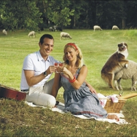 i love a picnic!!