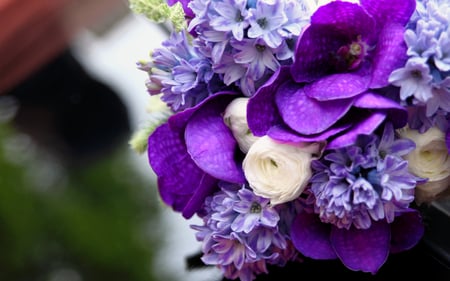 Bright  bouquet - nature, bouquet, purple, flowers