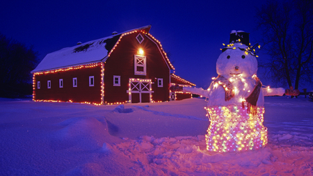 snowy day - house, snow, dark night, lights